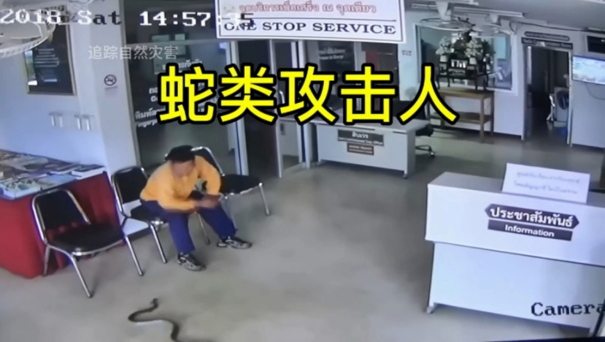 新奥门免费资料吃肉吃菜,赵丽颖起诉一咖啡连锁品牌商,决策资料解释落实_精英版V11.9